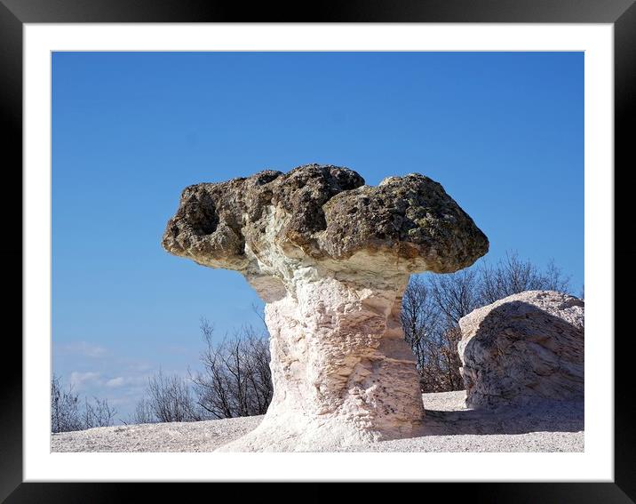 Stone mushrooms Framed Mounted Print by Martin Smith