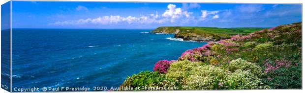 Clifftop Flowers at Church Cove on the Lizard Pano Canvas Print by Paul F Prestidge