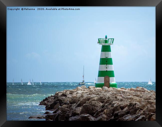 Sailboats speed past Vilamoura Lighthouse, Portuga Framed Print by Rehanna Neky