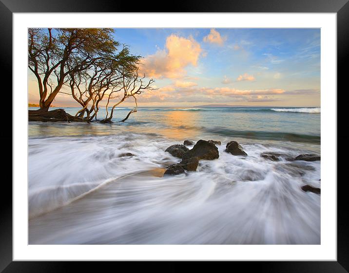 Sunset Tides Framed Mounted Print by Mike Dawson