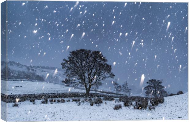 Hayfield Winter Snow Canvas Print by John Finney