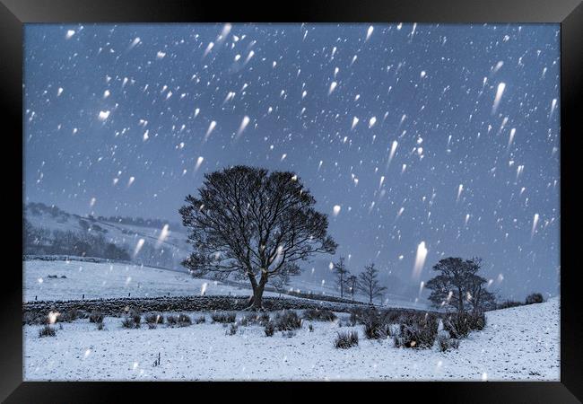 Hayfield Winter Snow Framed Print by John Finney