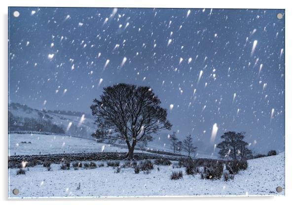 Hayfield Winter Snow Acrylic by John Finney