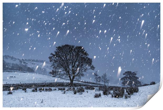 Hayfield Winter Snow Print by John Finney