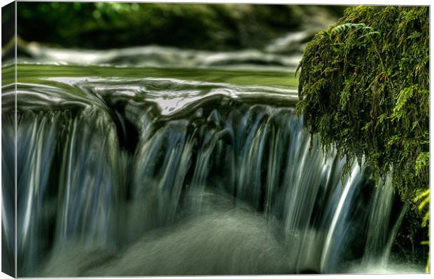 Spring Water Canvas Print by Mark Robson