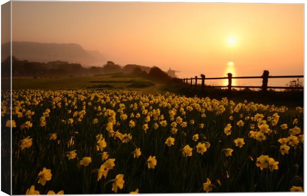 Sidmouth in Spring Canvas Print by David Neighbour