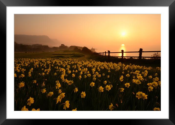 Sidmouth in Spring Framed Mounted Print by David Neighbour