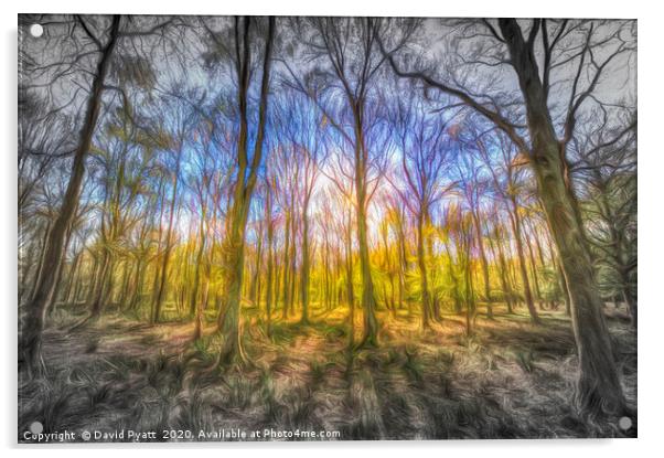 Light Through The Forest Art Acrylic by David Pyatt