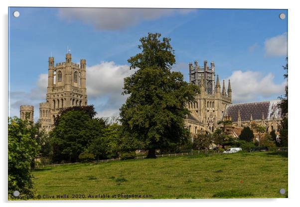 Ely Cathedral from the meadows Acrylic by Clive Wells