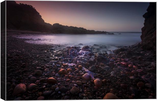 Pebbles on Rotherslade Bay Canvas Print by Leighton Collins