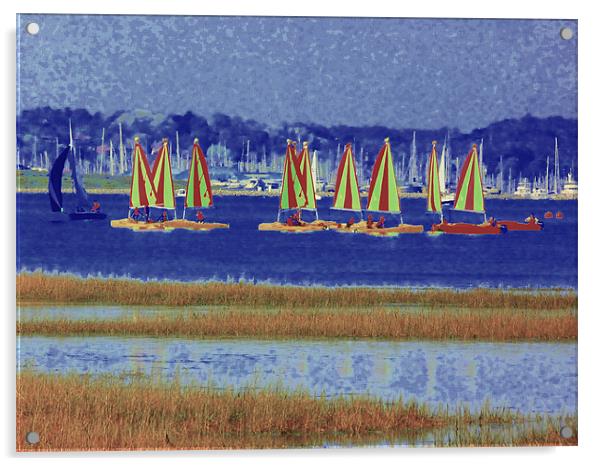On Your Marks, Get Set, Sail! Acrylic by Louise Godwin
