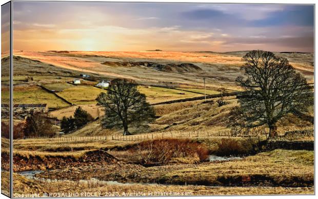 "Evening across Weardale" Canvas Print by ROS RIDLEY