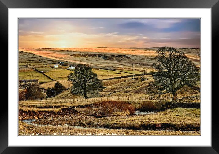 "Evening across Weardale" Framed Mounted Print by ROS RIDLEY