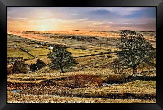 "Evening across Weardale" Framed Print by ROS RIDLEY