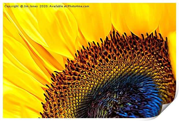 Artistic Sunflower Macro Print by Jim Jones