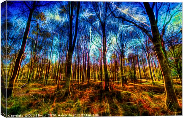 Forest Mystical Art Canvas Print by David Pyatt