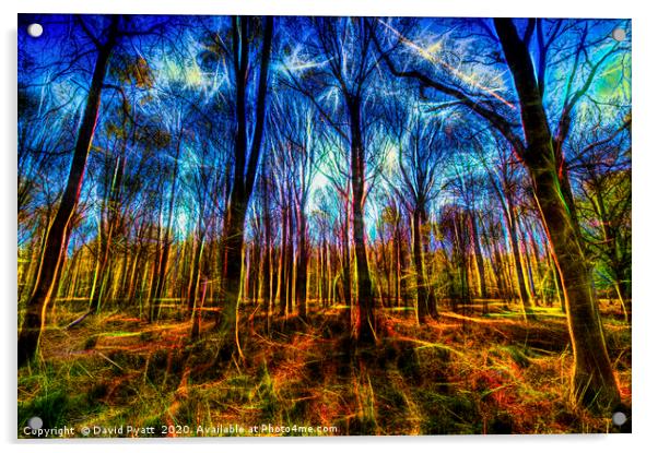 Forest Mystical Art Acrylic by David Pyatt