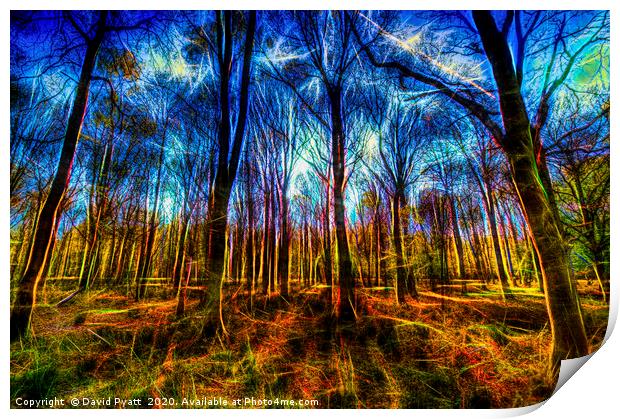 Forest Mystical Art Print by David Pyatt