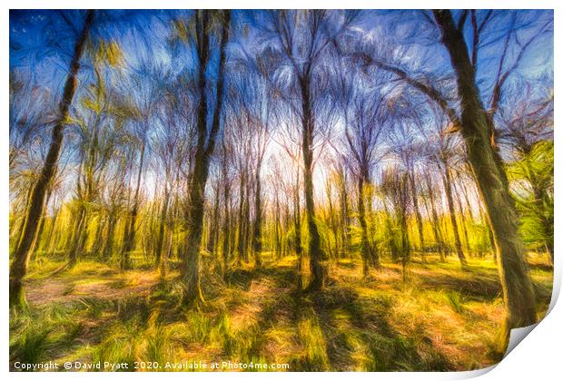 Turner Storms Forest Art Print by David Pyatt