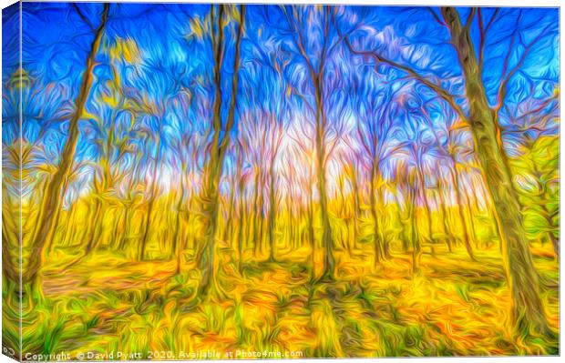 The Primeval Forest  Canvas Print by David Pyatt