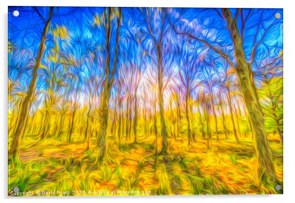 The Primeval Forest  Acrylic by David Pyatt