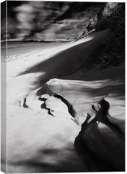 Coastal Dunes Canvas Print by Keith Thorburn EFIAP/b