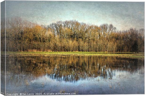 Winter Trees Reflected Canvas Print by Ian Lewis
