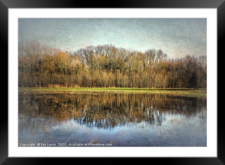 Winter Trees Reflected Framed Mounted Print by Ian Lewis