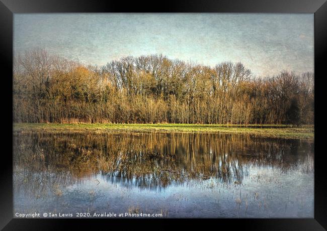 Winter Trees Reflected Framed Print by Ian Lewis