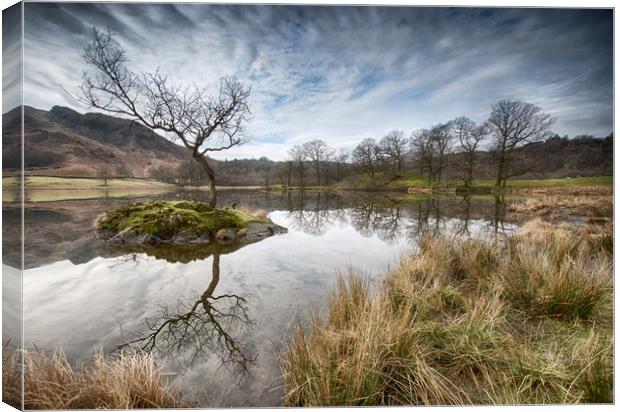 Tree reflections on Rydal Water Canvas Print by Ann Goodall