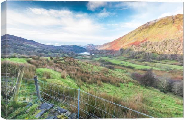 Over the fence Canvas Print by Jonathon barnett