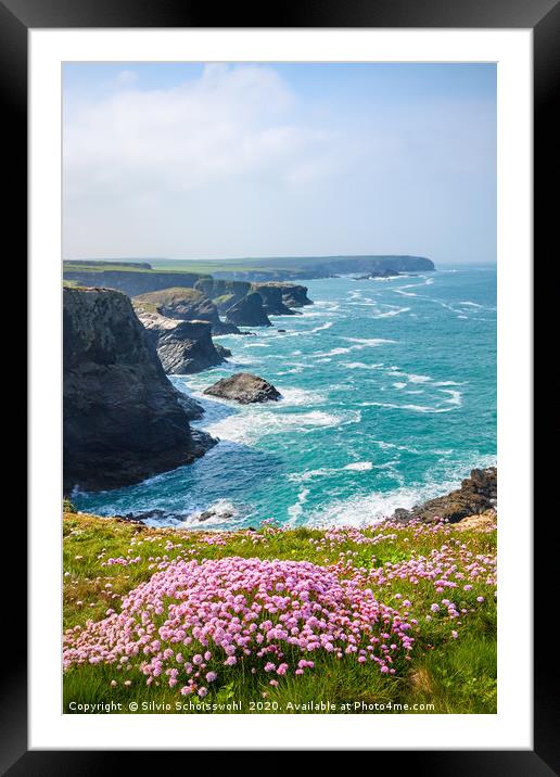 Spring on Cornwall's coast Framed Mounted Print by Silvio Schoisswohl