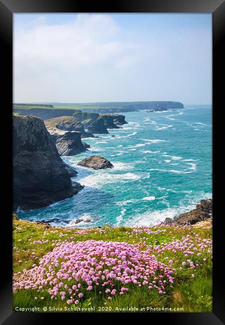 Spring on Cornwall's coast Framed Print by Silvio Schoisswohl