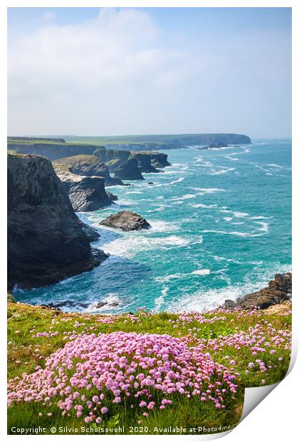 Spring on Cornwall's coast Print by Silvio Schoisswohl