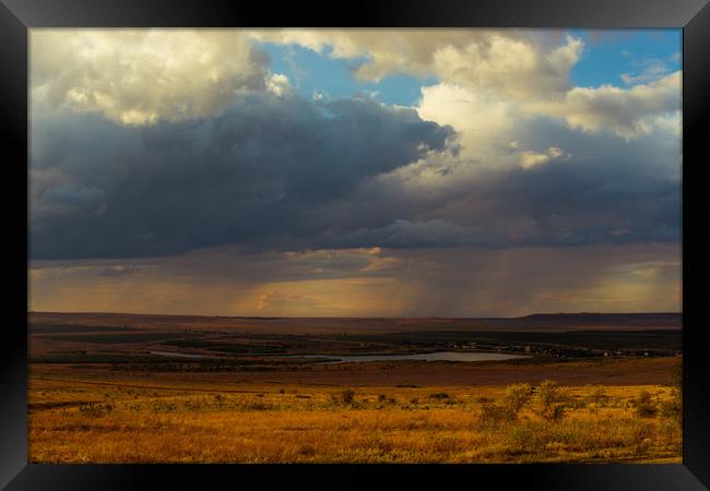 Rain on the field Framed Print by Vladimir Rey