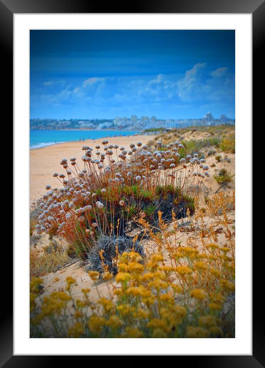 Praia dos Salgados The Algarve Portugal Framed Mounted Print by Andy Evans Photos