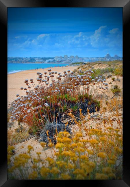 Praia dos Salgados The Algarve Portugal Framed Print by Andy Evans Photos