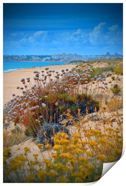 Praia dos Salgados The Algarve Portugal Print by Andy Evans Photos