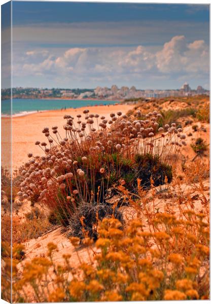 Praia dos Salgados The Algarve Portugal Canvas Print by Andy Evans Photos