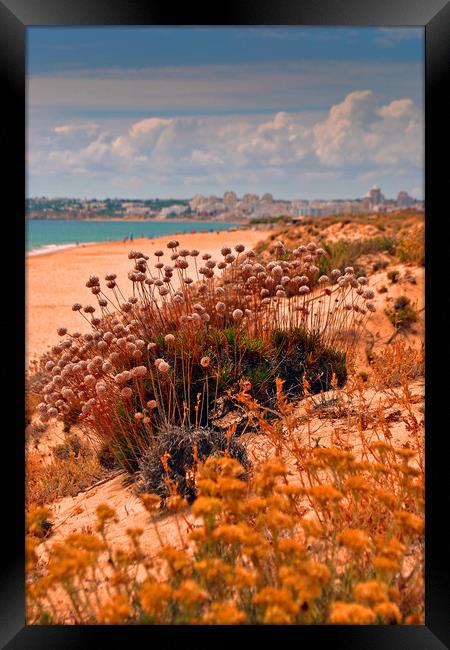 Praia dos Salgados The Algarve Portugal Framed Print by Andy Evans Photos