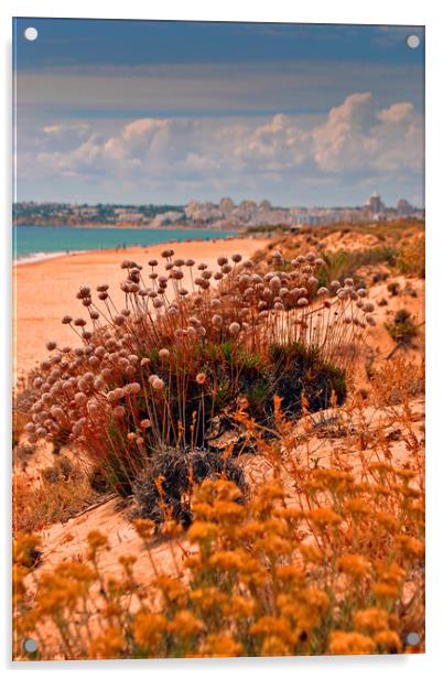 Praia dos Salgados The Algarve Portugal Acrylic by Andy Evans Photos