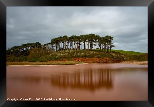 Budleigh Salterton pine trees Framed Print by Kate Fish