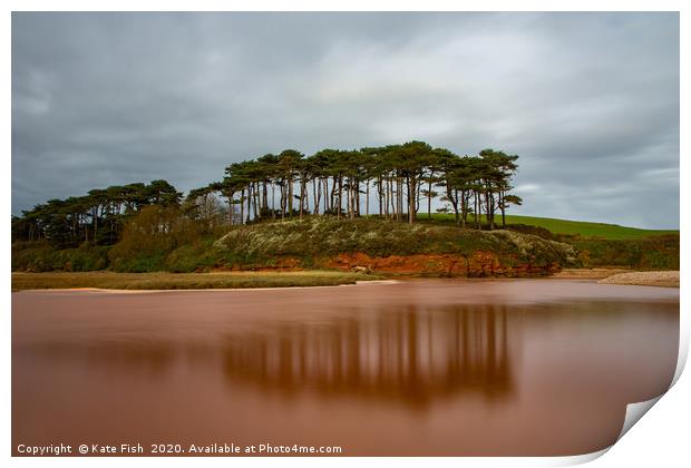 Budleigh Salterton pine trees Print by Kate Fish