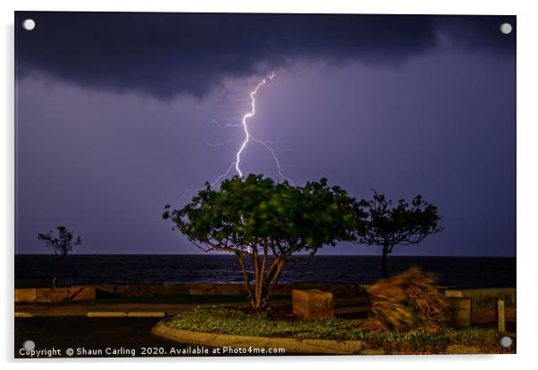 Lightning Over Morton Bay Acrylic by Shaun Carling