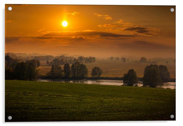 Beautiful sunset over field and forest. Czech Repu Acrylic by Sergey Fedoskin