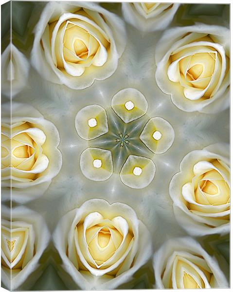 abstracted roses Canvas Print by Heather Newton