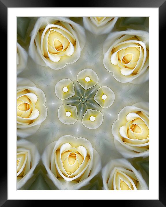 abstracted roses Framed Mounted Print by Heather Newton