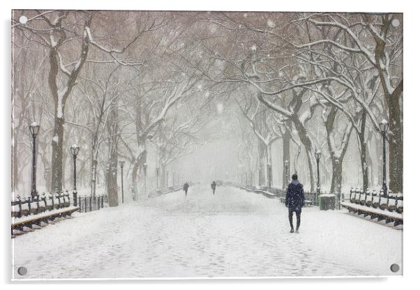 Winter Wonderland Acrylic by Robert Deering
