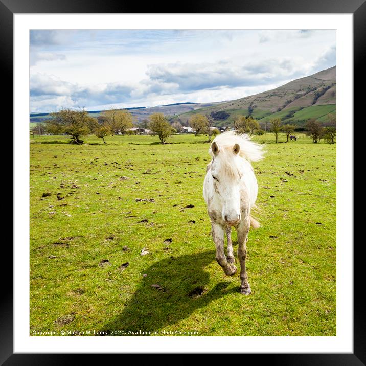 Running Horse, Peak District Framed Mounted Print by Martyn Williams