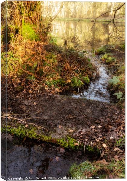 Little Bridge on Cannock Chase Canvas Print by Ann Garrett